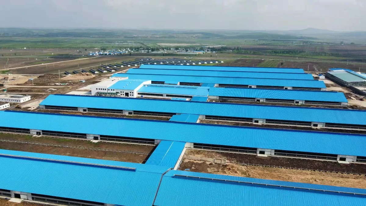 Feed storage and ancillary buildings at a turnkey livestock farm