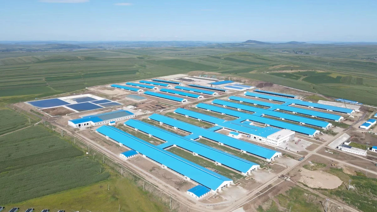 Aerial view of a large turnkey livestock farm complex with barns and waste lagoons