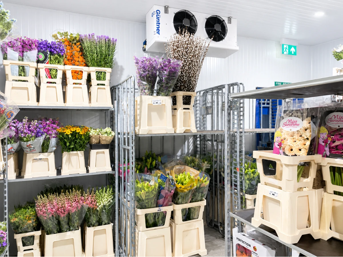 Cold room used for floral storage with flowers on racks
