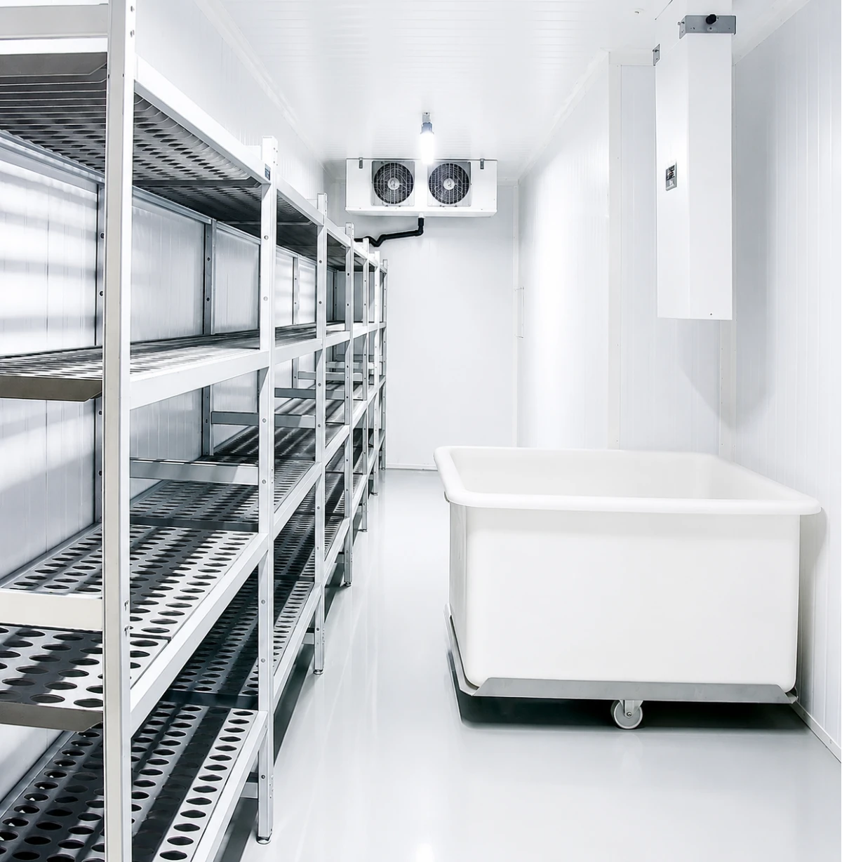Clean cold room interior with stainless steel shelving