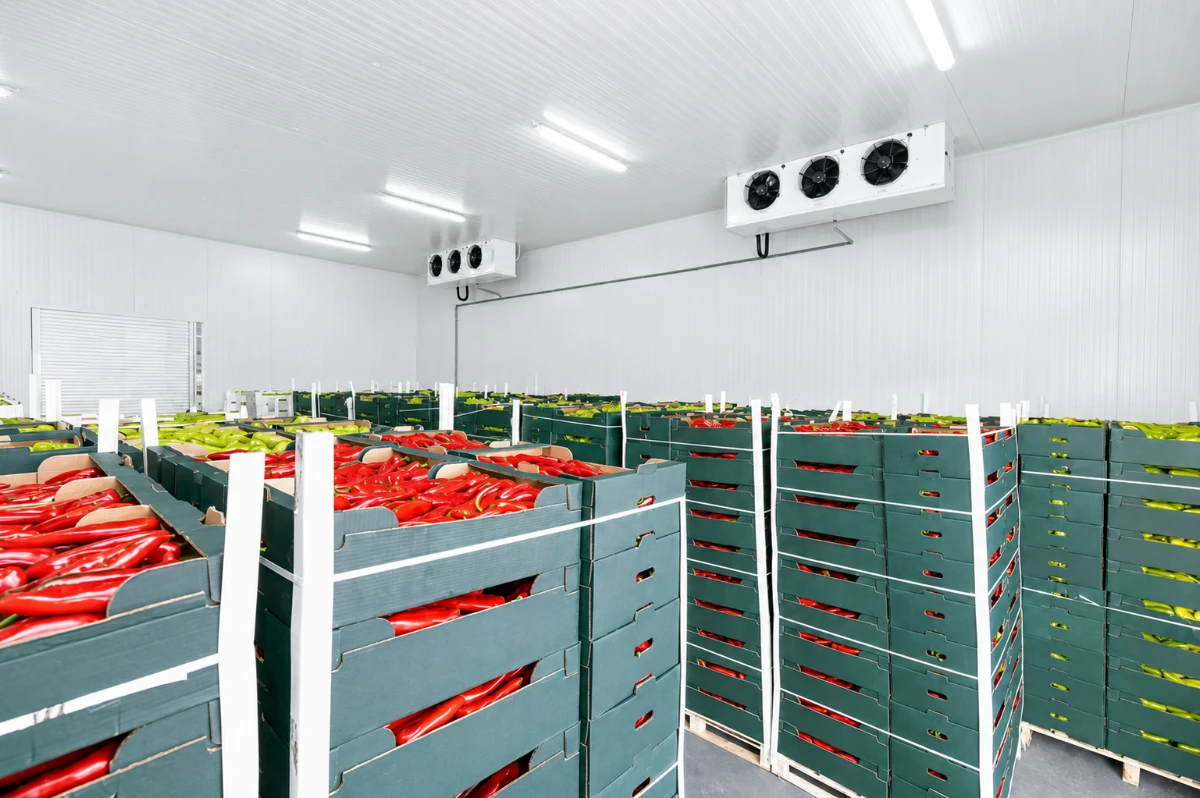 Cold room storing crates of fresh produce
