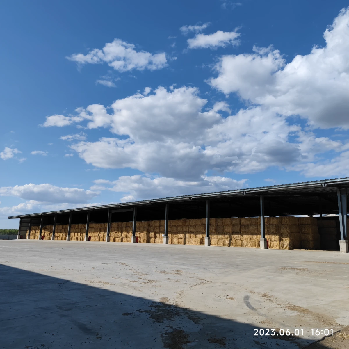 Open-sided clear-span steel barn used for dry hay and forage storage on the dairy farm