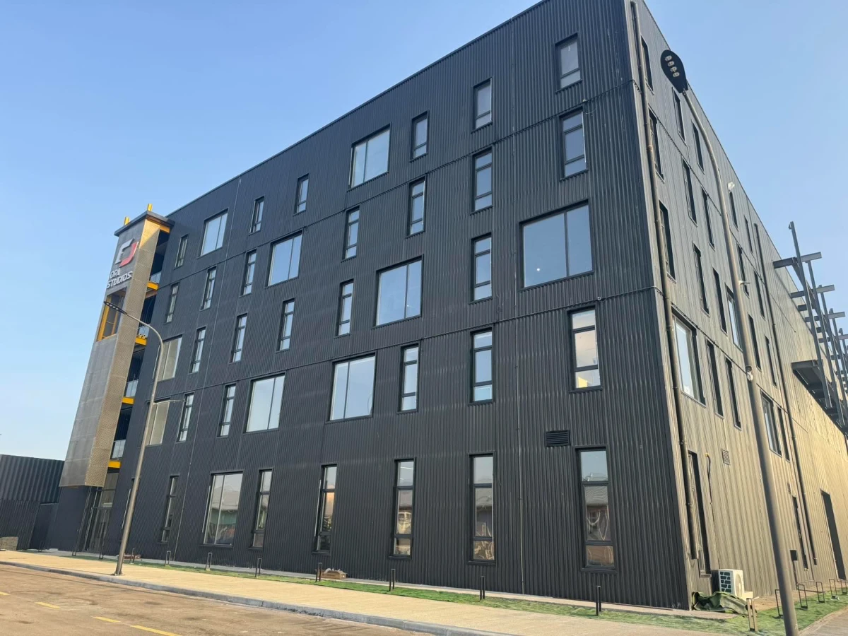 VIKKINS steel structure commercial building completed in Mongolia