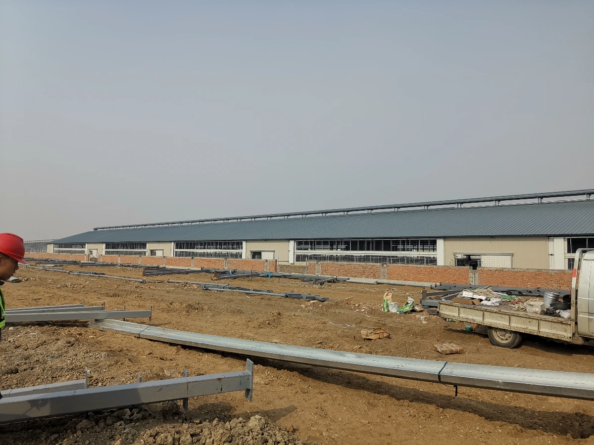 Steel structure construction site with steel frames laid out and a completed building in the background