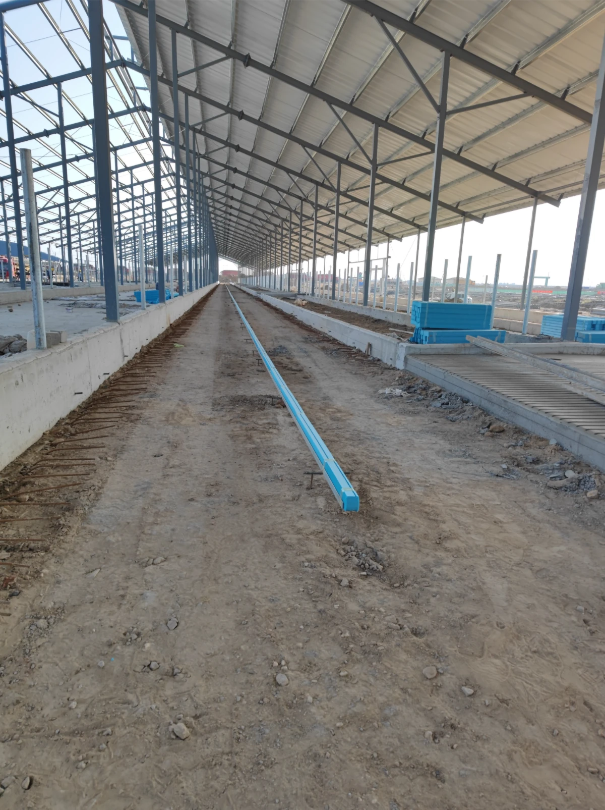 Column-free clear-span interior of a turnkey steel cattle barn