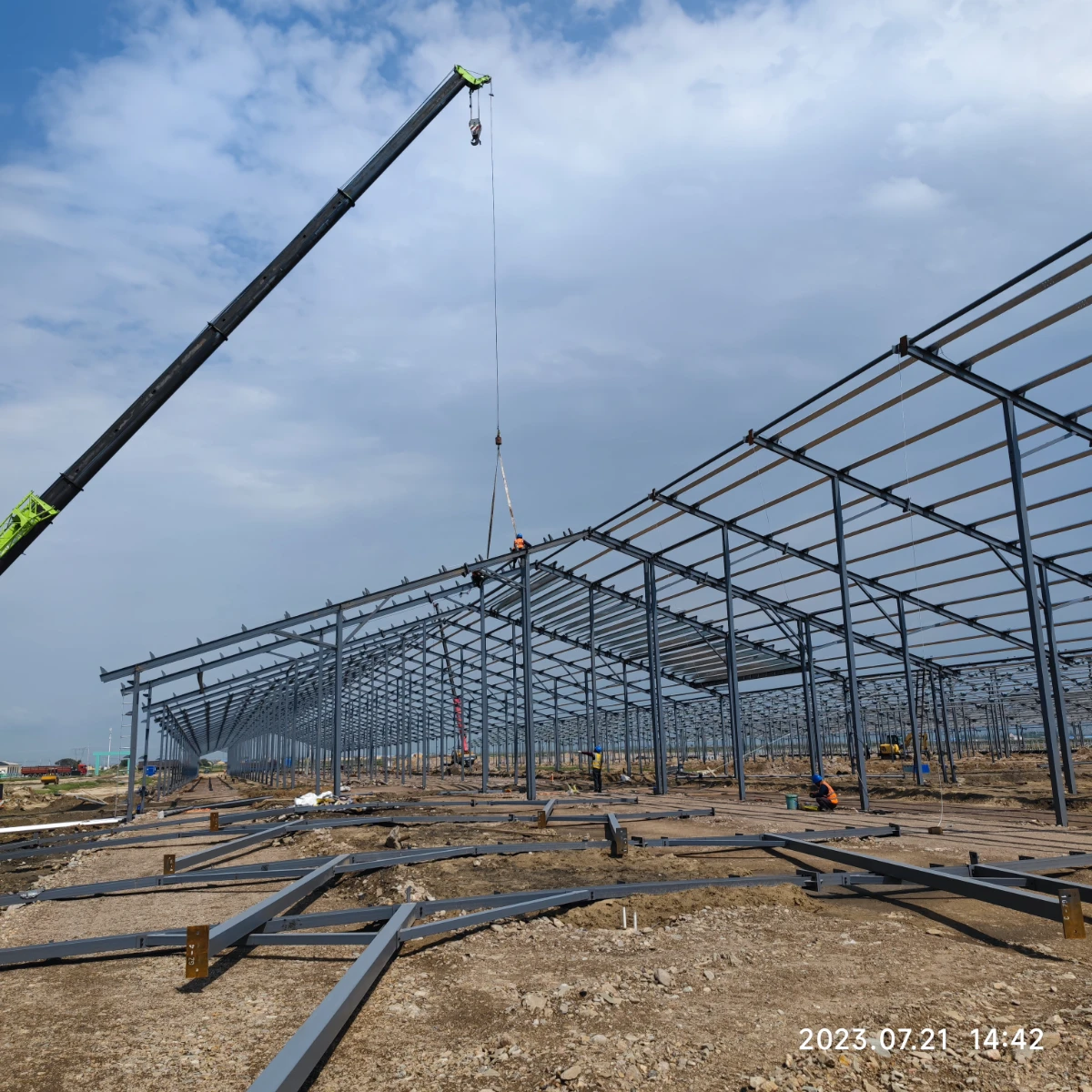 Dairy farm steel structure frame erection at a 12,000-head cattle barn in Northern China
