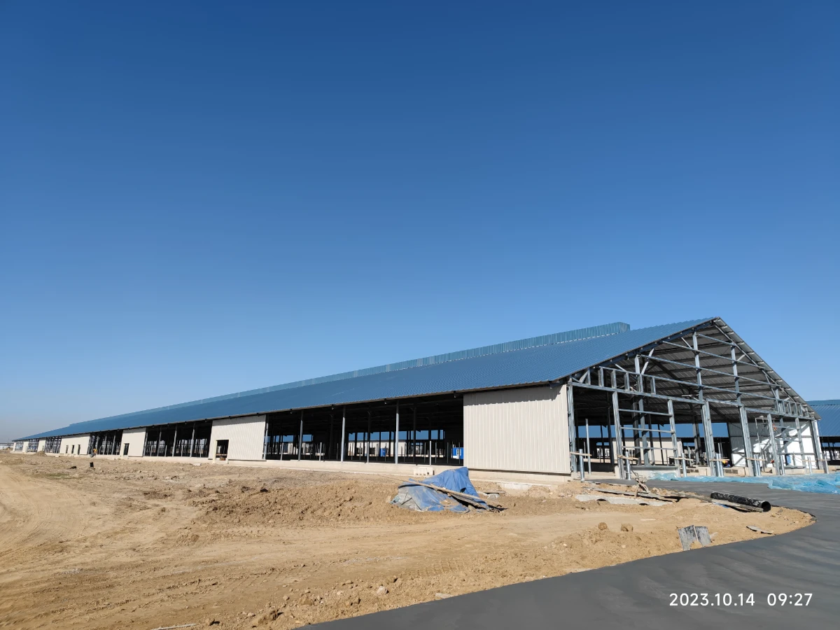 Large-scale dairy farm steel construction site in Northern China
