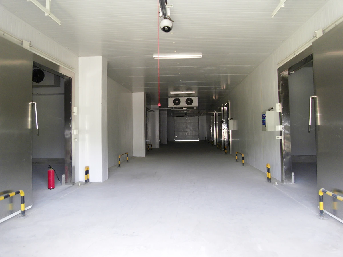 Interior de edificio industrial de almacenamiento en frío con múltiples cuartos de congelación y enfriadores de unidad