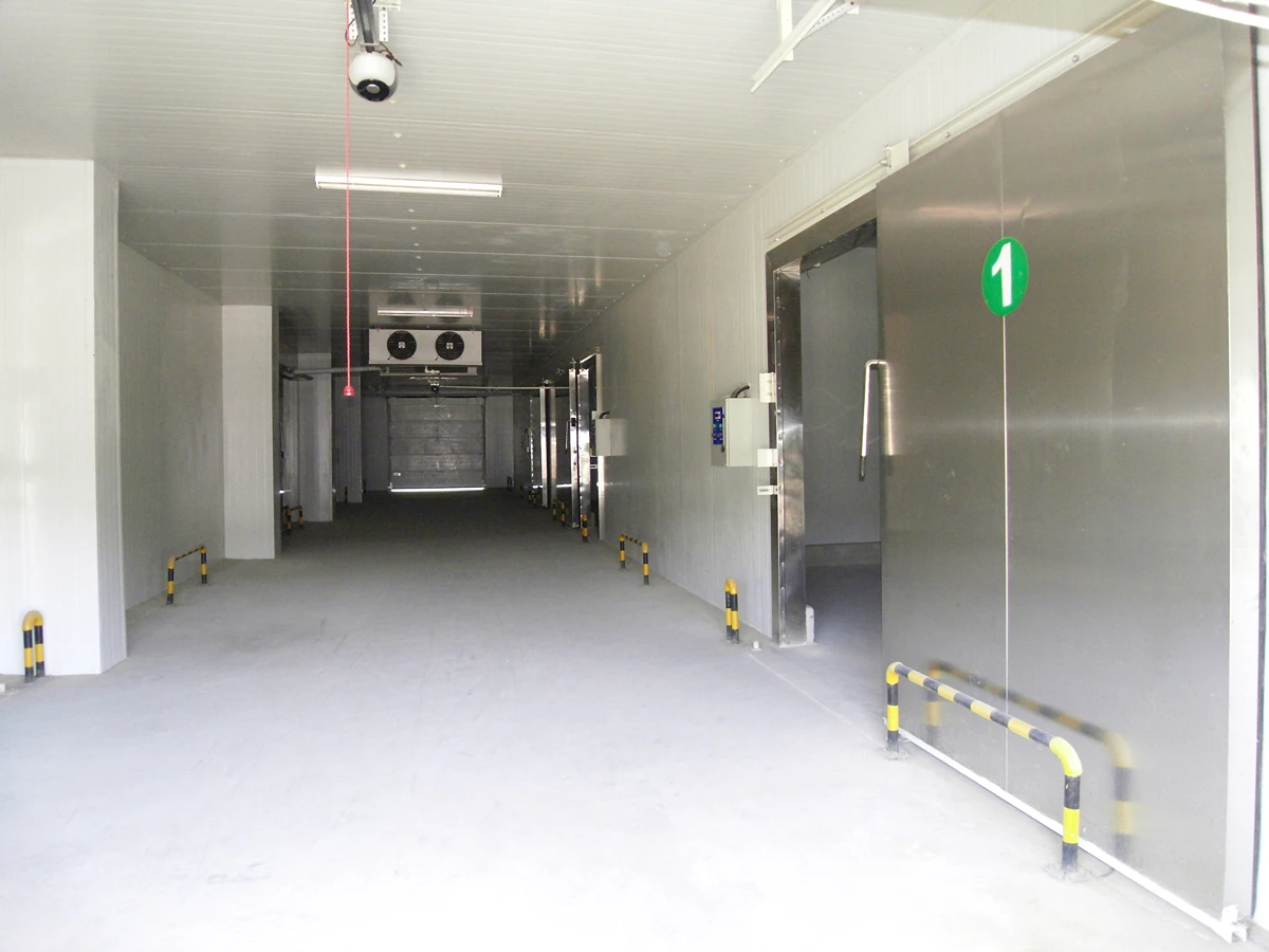 Gran instalación de almacenamiento en frío multichamber con puertas correderas aisladas y corredor central