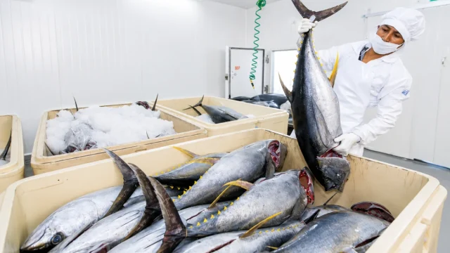 chambre froide pour fruits de mer et aliments surgelés