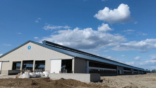 acier-ferme-laitière-extérieure-à-ciel-ouvert